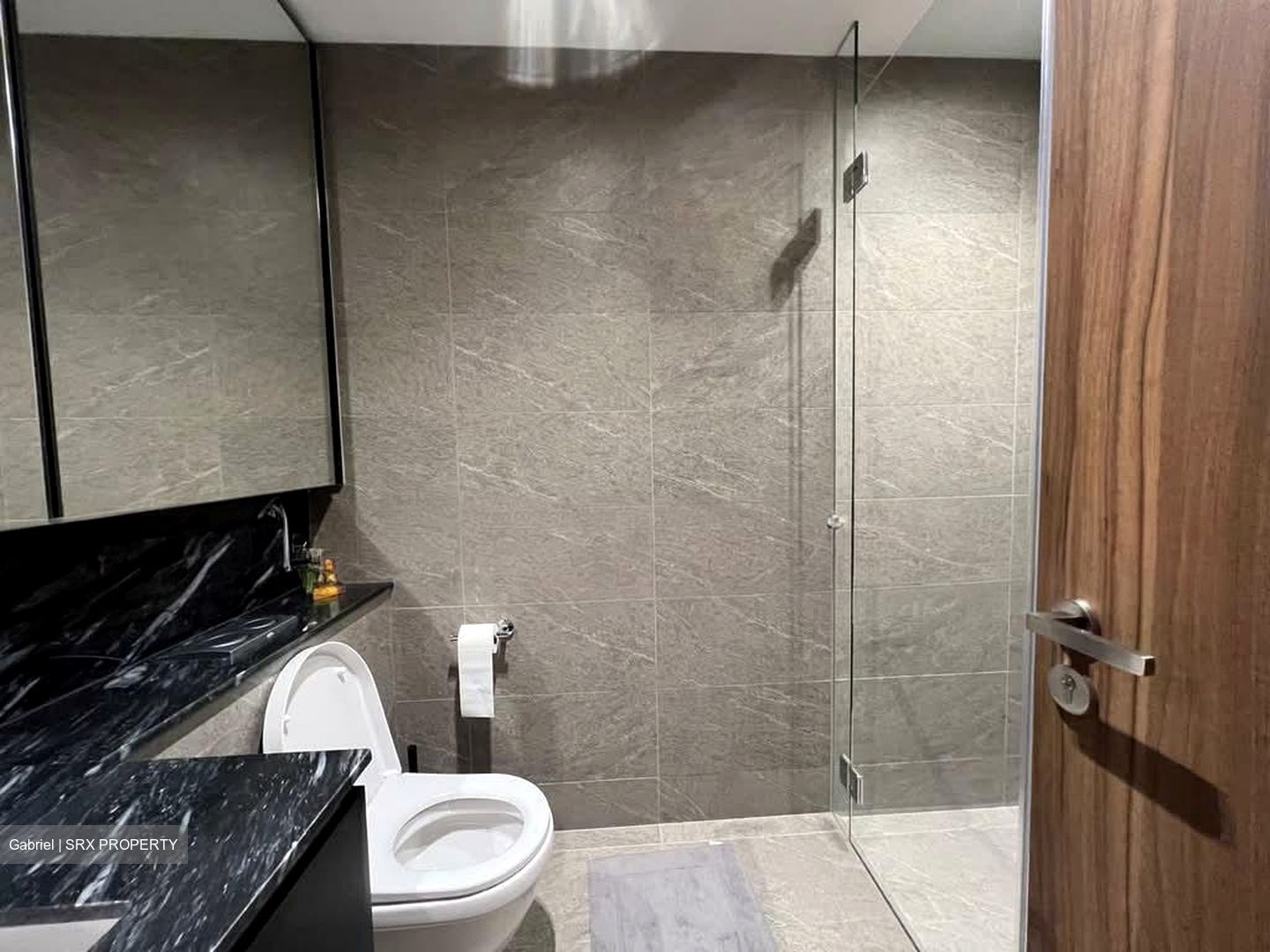 Daintree Residence (D21), Condominium #565695391